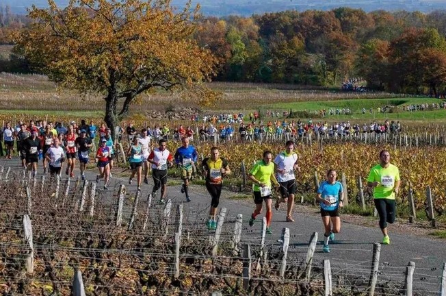 Beaujolais 6