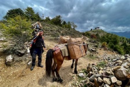 DrukTrek24 2